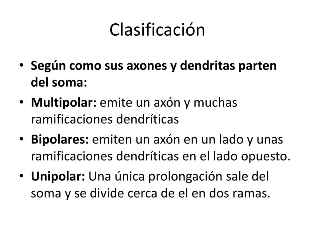 Clasificación Según como sus axones y dendritas parten del soma:
