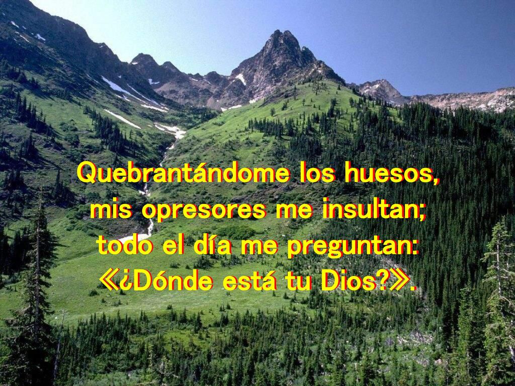 Quebrantándome los huesos, mis opresores me insultan; todo el día me preguntan: «¿Dónde está tu Dios ».