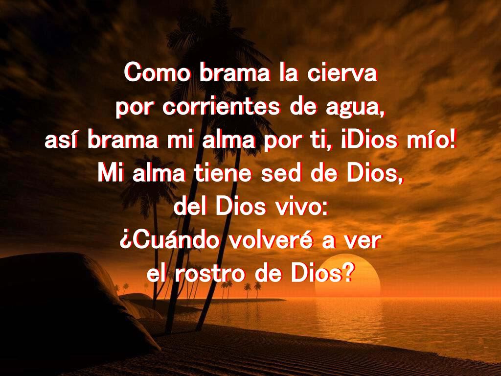 así brama mi alma por ti, ¡Dios mío! Mi alma tiene sed de Dios,
