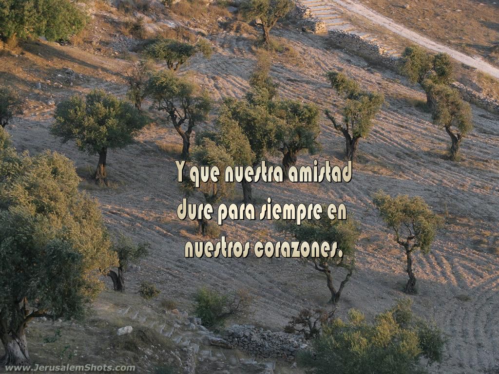Y que nuestra amistad dure para siempre en nuestros corazones.