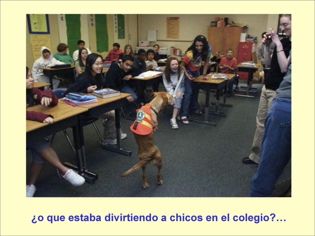 ¿o que estaba divirtiendo a chicos en el colegio …