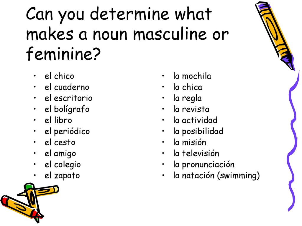 Can you determine what makes a noun masculine or feminine