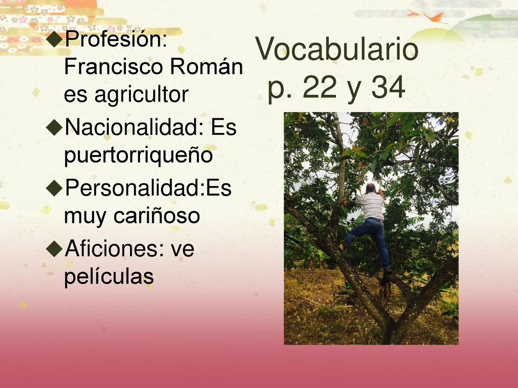 Vocabulario p. 22 y 34 Profesión: Francisco Román es agricultor
