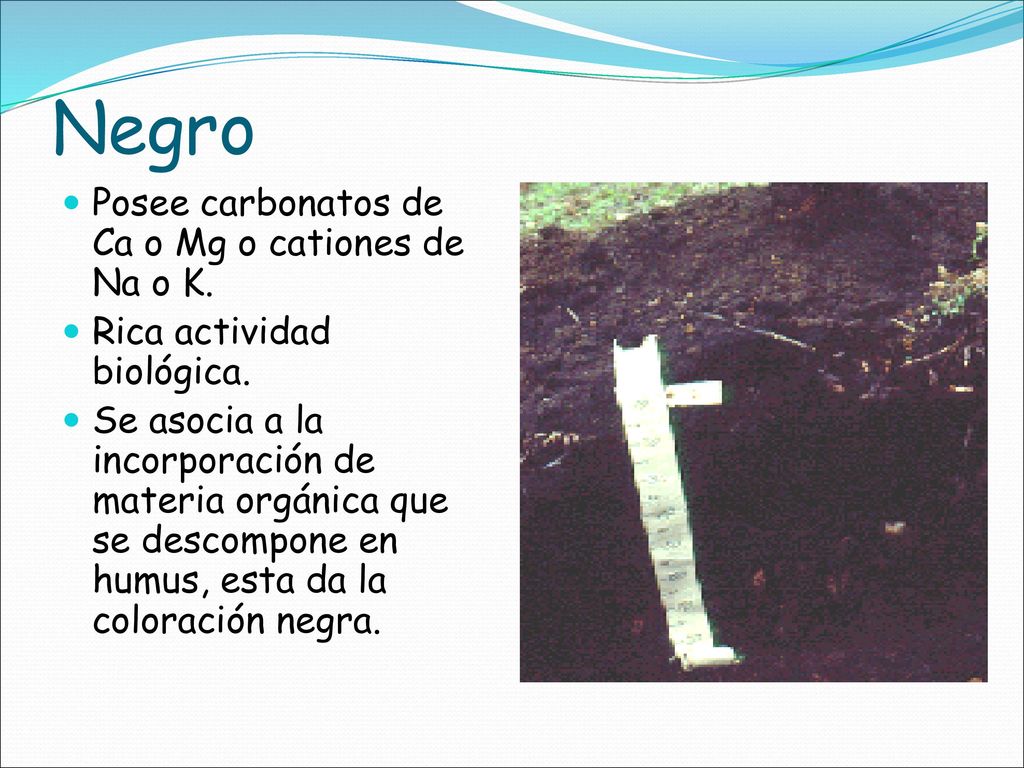 Negro Posee carbonatos de Ca o Mg o cationes de Na o K.