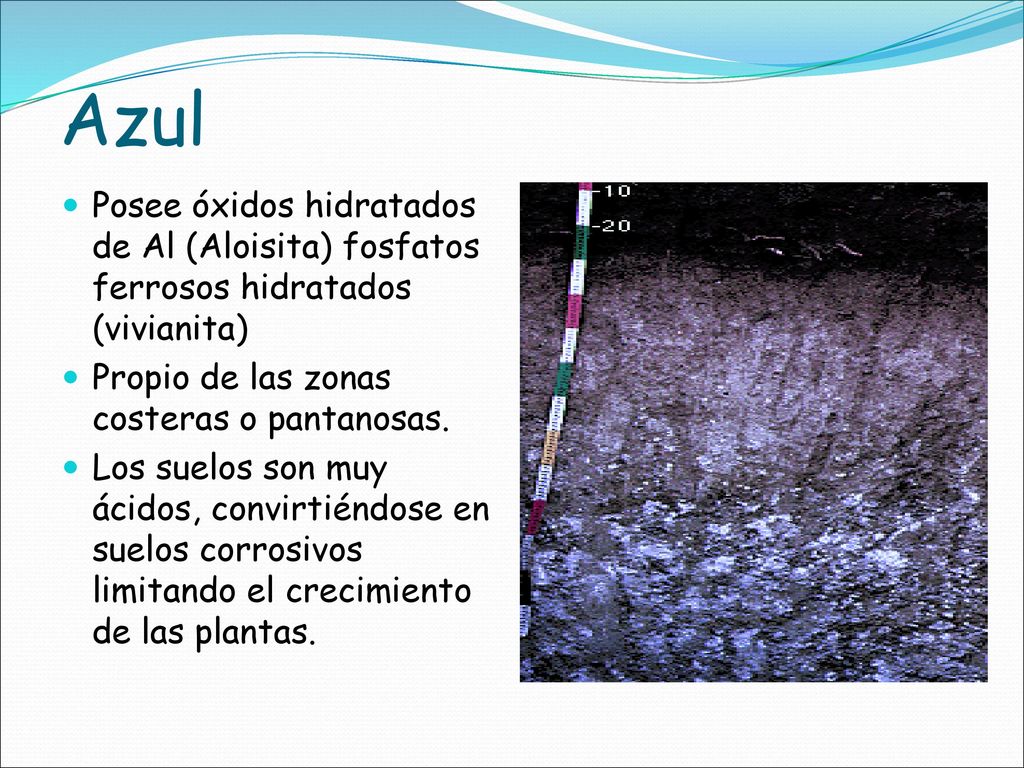 Azul Posee óxidos hidratados de Al (Aloisita) fosfatos ferrosos hidratados (vivianita) Propio de las zonas costeras o pantanosas.