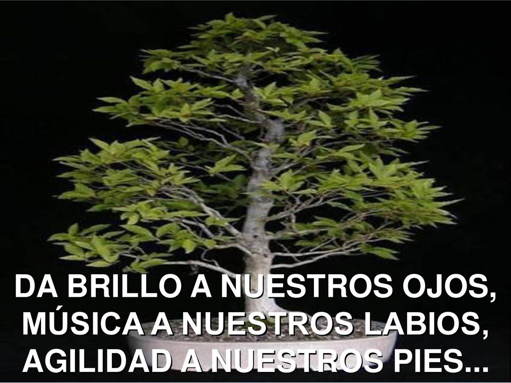 DA BRILLO A NUESTROS OJOS, MÚSICA A NUESTROS LABIOS, AGILIDAD A NUESTROS PIES...