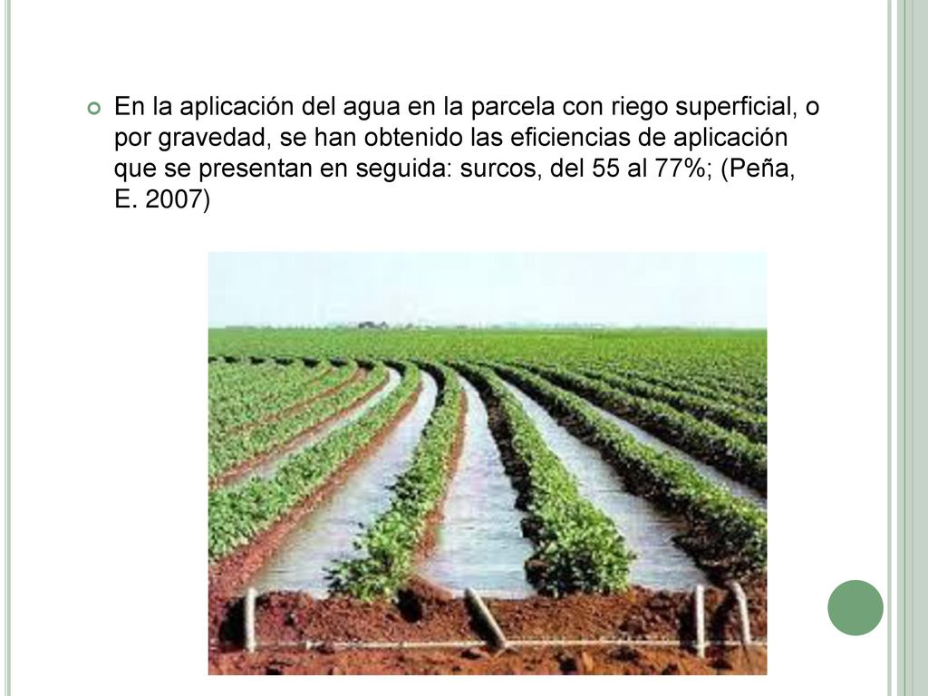 En la aplicación del agua en la parcela con riego superficial, o por gravedad, se han obtenido las eficiencias de aplicación que se presentan en seguida: surcos, del 55 al 77%; (Peña, E.