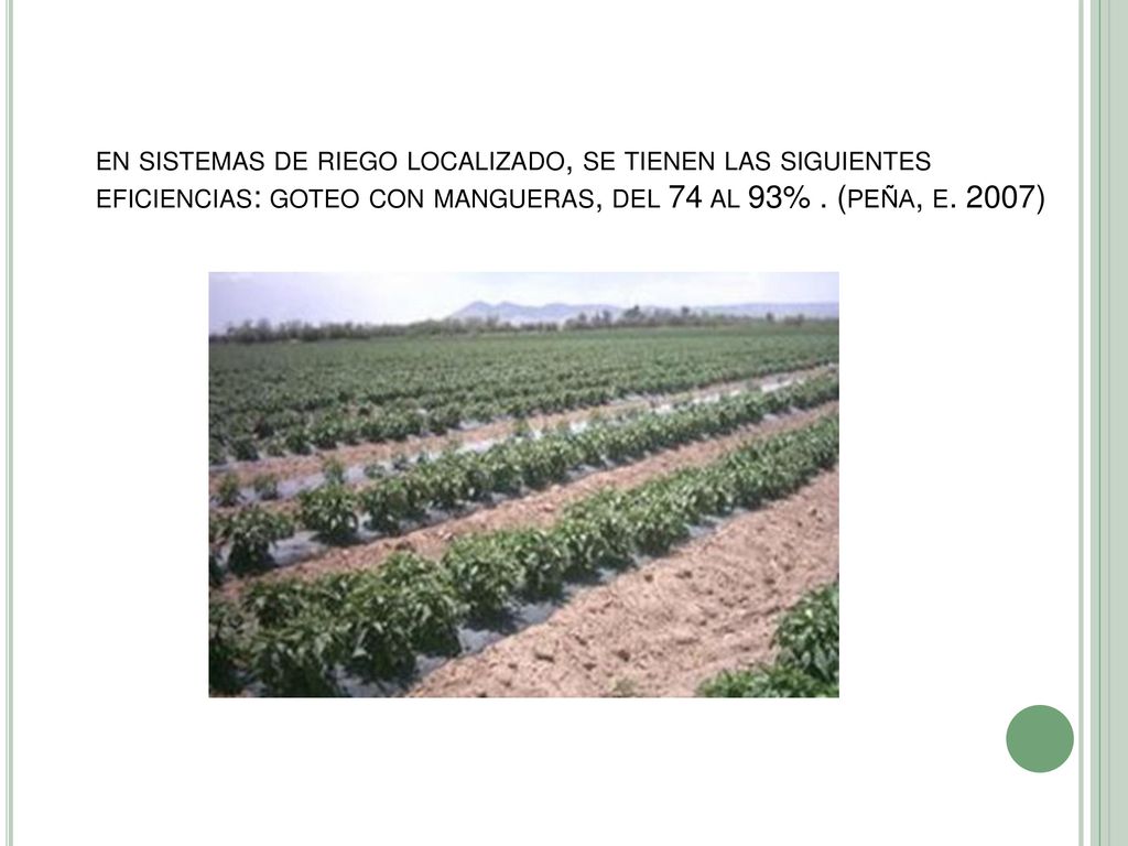 en sistemas de riego localizado, se tienen las siguientes eficiencias: goteo con mangueras, del 74 al 93% .