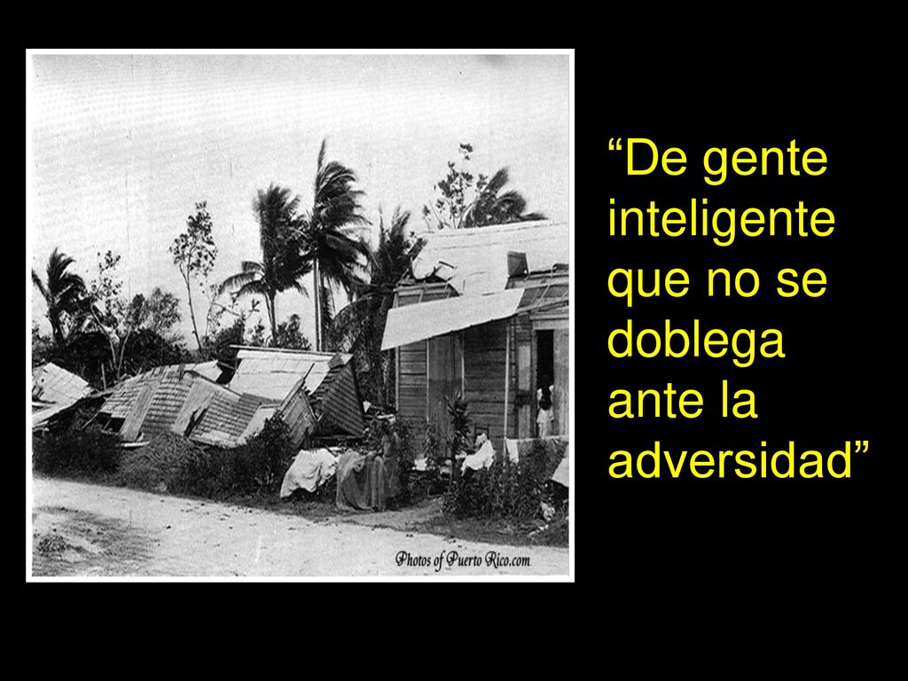 De gente inteligente que no se doblega ante la adversidad