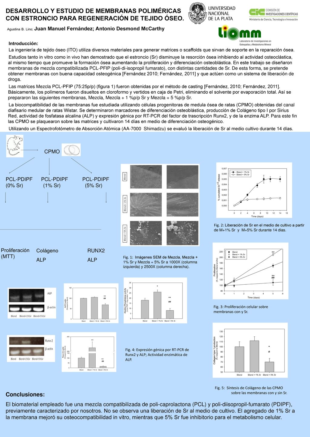 DESARROLLO Y ESTUDIO DE MEMBRANAS POLIMÉRICAS CON ESTRONCIO PARA REGENERACIÓN DE TEJIDO ÓSEO.