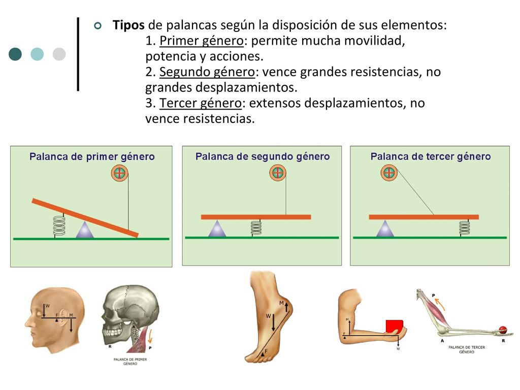 Tipos de palancas según la disposición de sus elementos:. 1