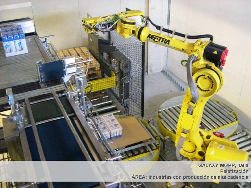 GALAXY M6/PP, Italia Paletización ÁREA: Industrias con producción de alta cadencia