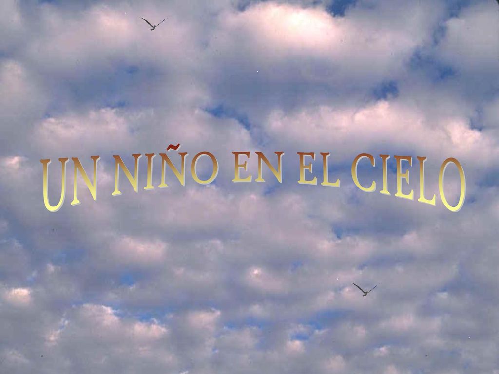 UN NIÑO EN EL CIELO SI NOÉ HUBIESE SIDO PUERTORRIQUEÑO