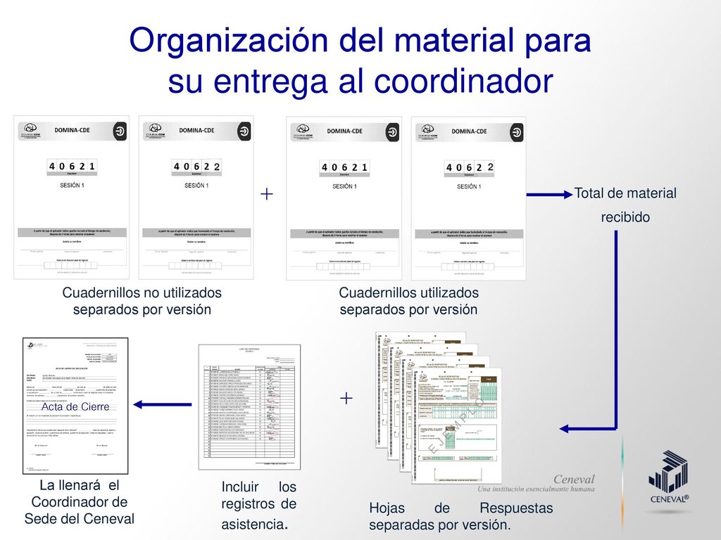 + + Organización del material para su entrega al coordinador