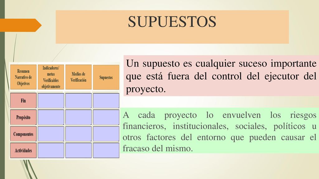 SUPUESTOS Un supuesto es cualquier suceso importante que está fuera del control del ejecutor del proyecto.