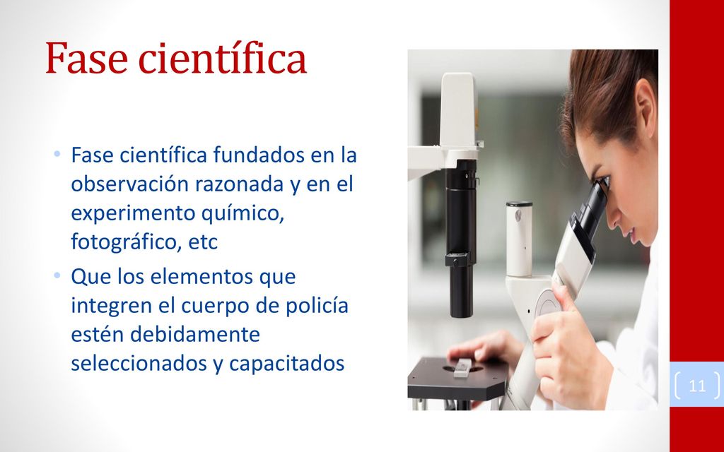 Fase científica Fase científica fundados en la observación razonada y en el experimento químico, fotográfico, etc.