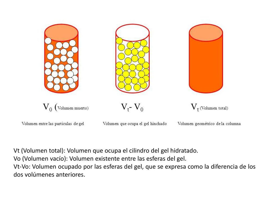 Vt (Volumen total): Volumen que ocupa el cilindro del gel hidratado.