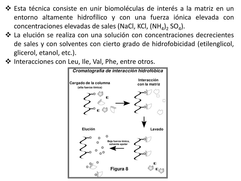 Esta técnica consiste en unir biomoléculas de interés a la matriz en un entorno altamente hidrofílico y con una fuerza iónica elevada con concentraciones elevadas de sales (NaCl, KCl, (NH4)2 SO4).
