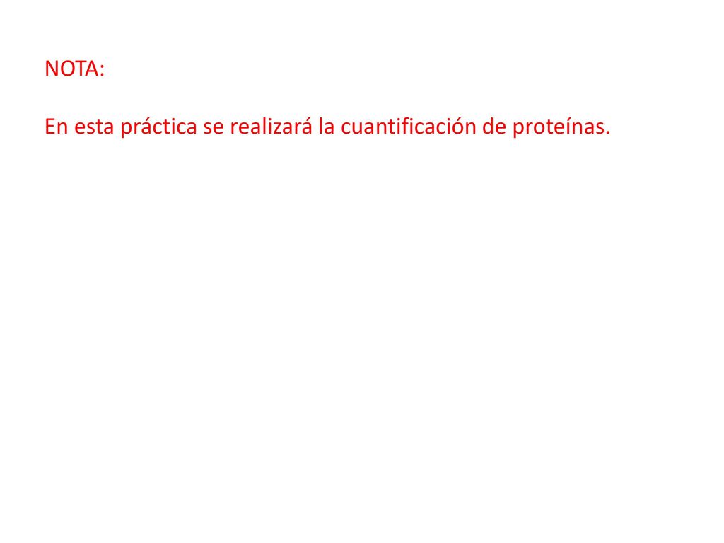 NOTA: En esta práctica se realizará la cuantificación de proteínas.