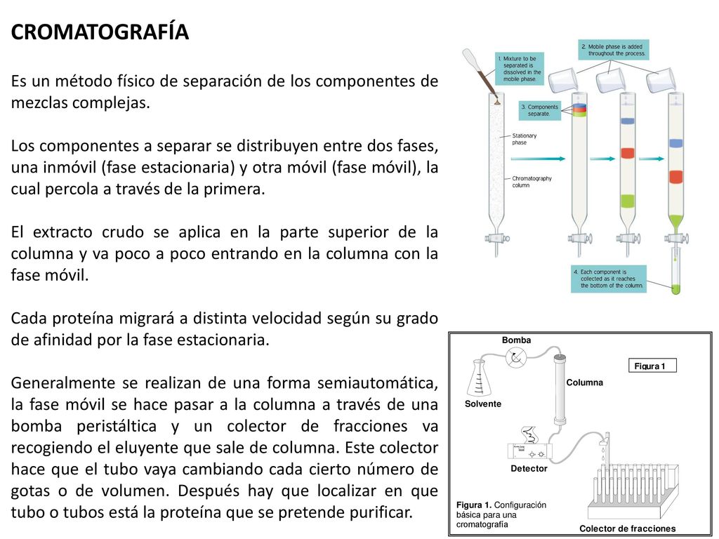 CROMATOGRAFÍA Es un método físico de separación de los componentes de mezclas complejas.