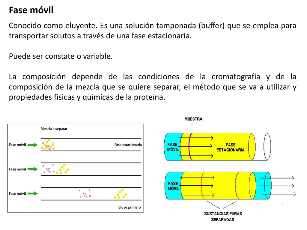 Fase móvil Conocido como eluyente. Es una solución tamponada (buffer) que se emplea para transportar solutos a través de una fase estacionaria.