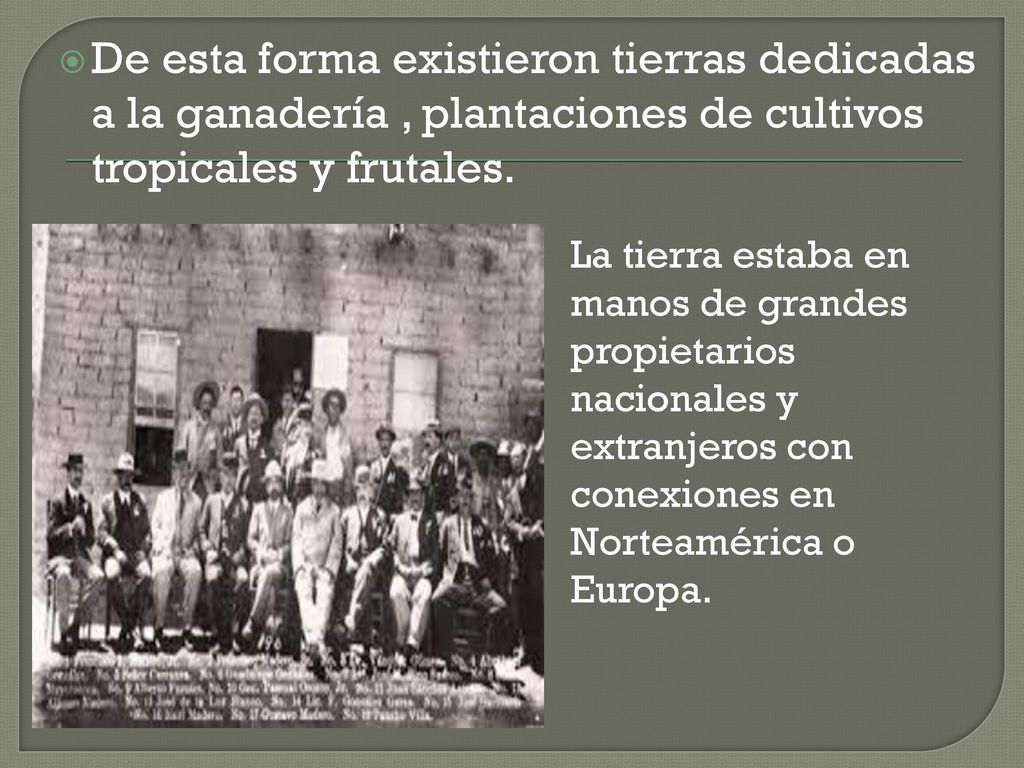 De esta forma existieron tierras dedicadas a la ganadería , plantaciones de cultivos tropicales y frutales.