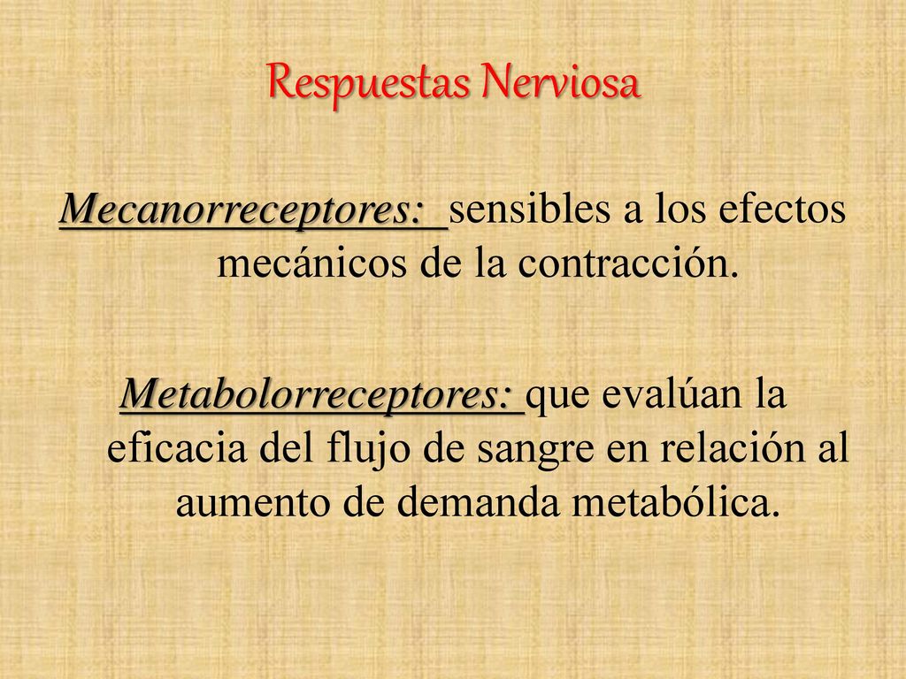 Respuestas Nerviosa Mecanorreceptores: sensibles a los efectos mecánicos de la contracción.