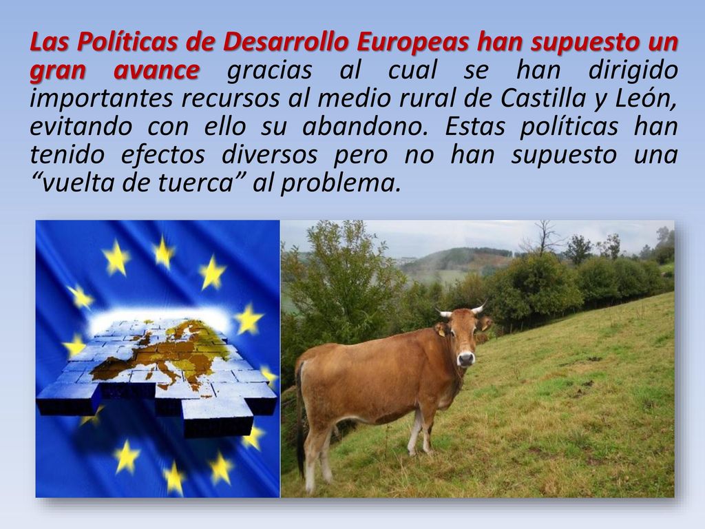Las Políticas de Desarrollo Europeas han supuesto un gran avance gracias al cual se han dirigido importantes recursos al medio rural de Castilla y León, evitando con ello su abandono.