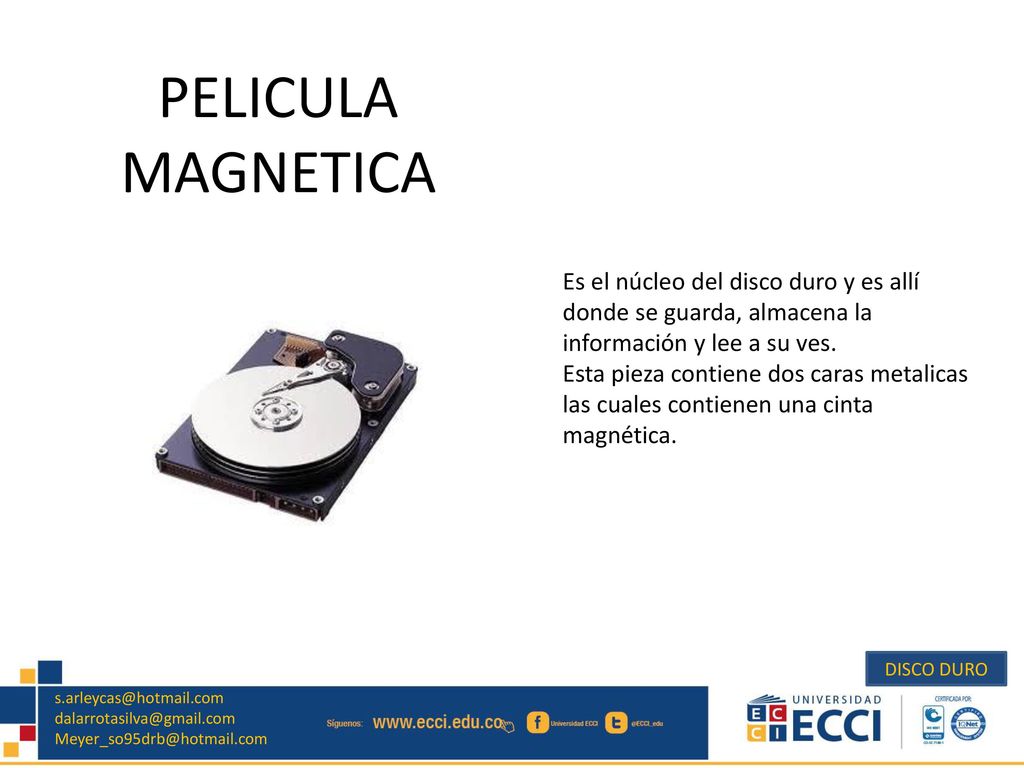 Es el núcleo del disco duro y es allí donde se guarda, almacena la información y lee a su ves.