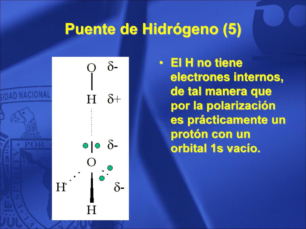 Puente de Hidrógeno (5) El H no tiene electrones internos, de tal manera que por la polarización es prácticamente un protón con un orbital 1s vacío.