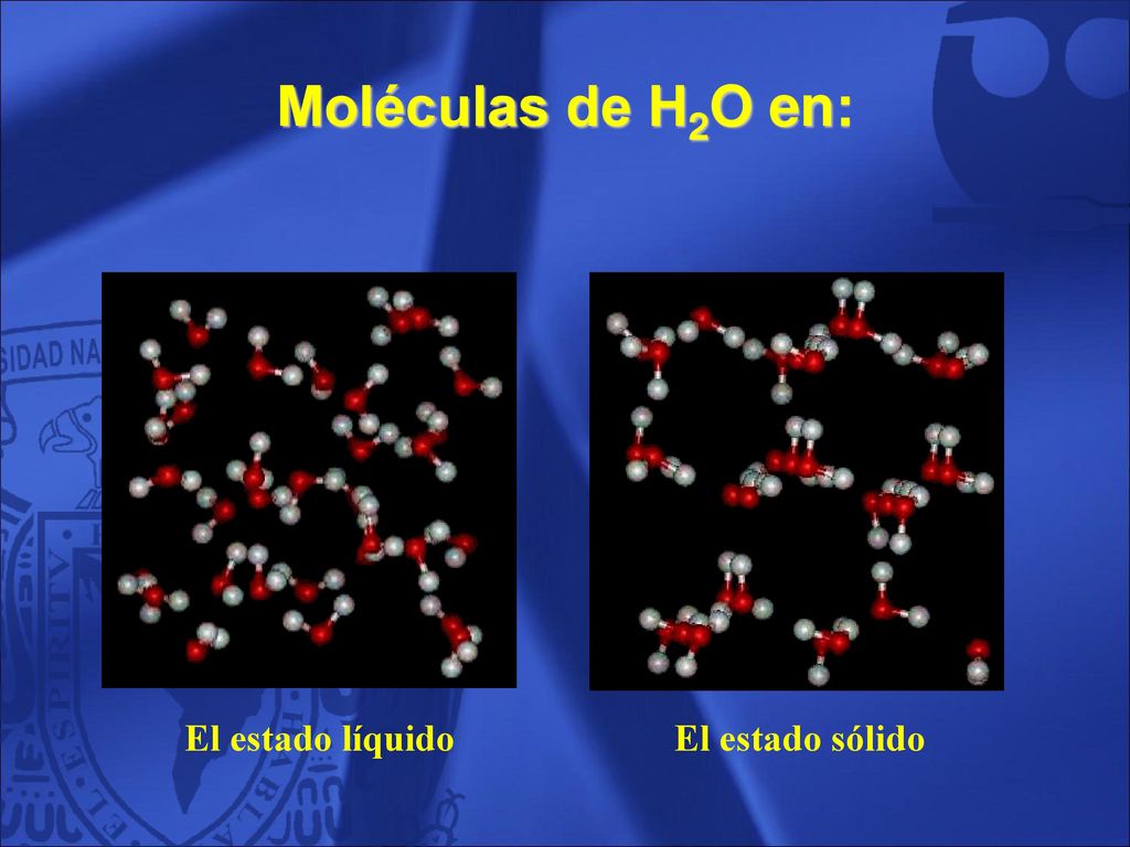 Moléculas de H2O en: El estado líquido El estado sólido 41