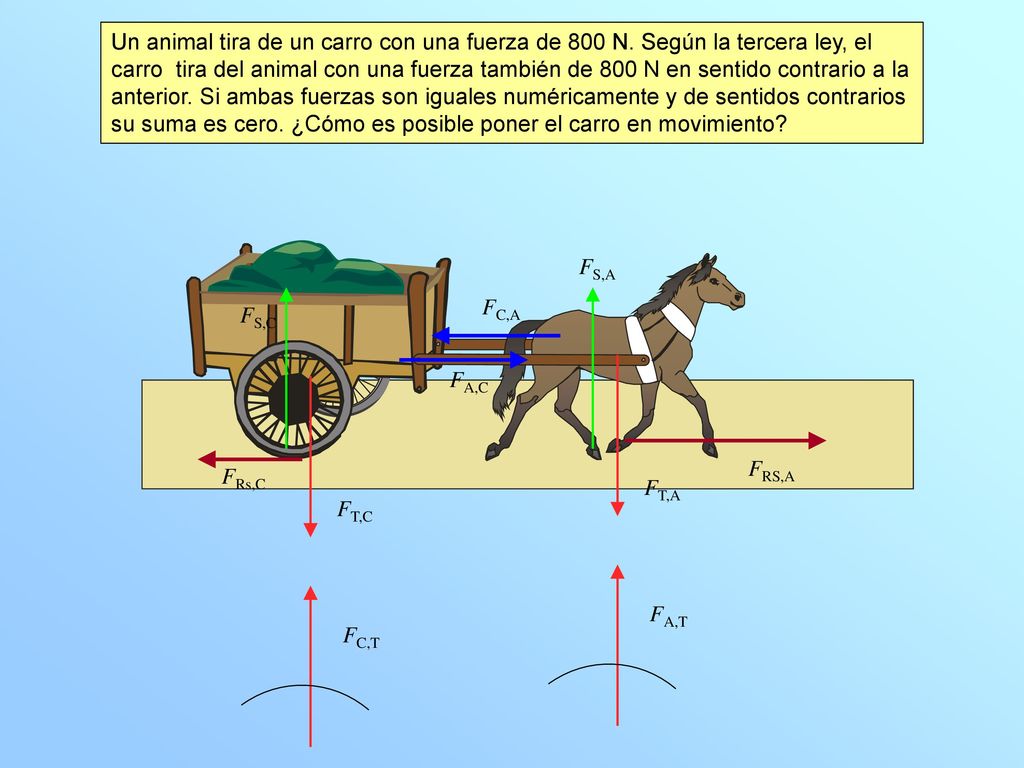 Un animal tira de un carro con una fuerza de 800 N