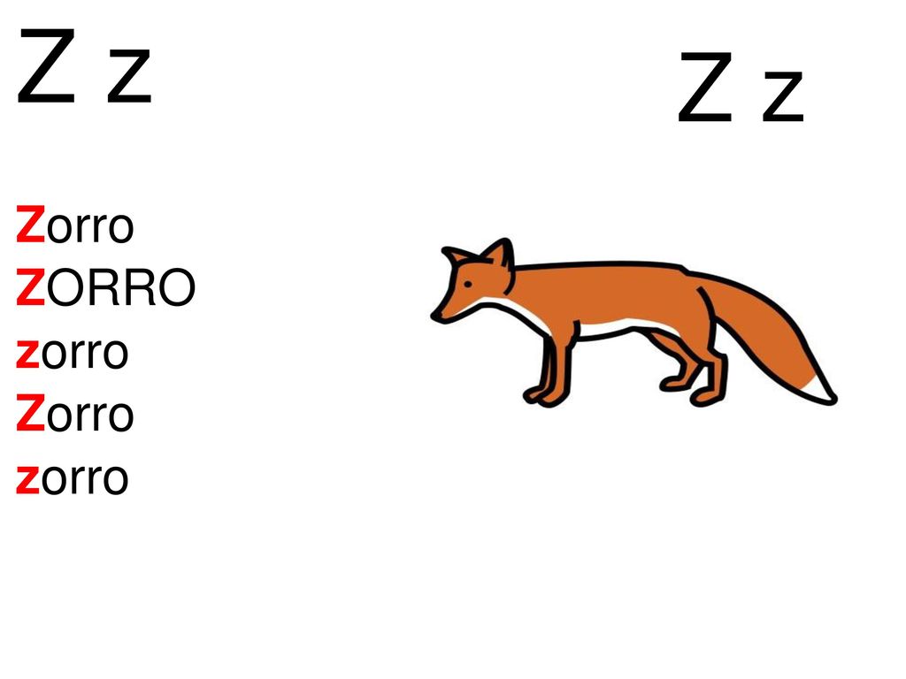 Z z Z z Zorro ZORRO zorro Zorro zorro