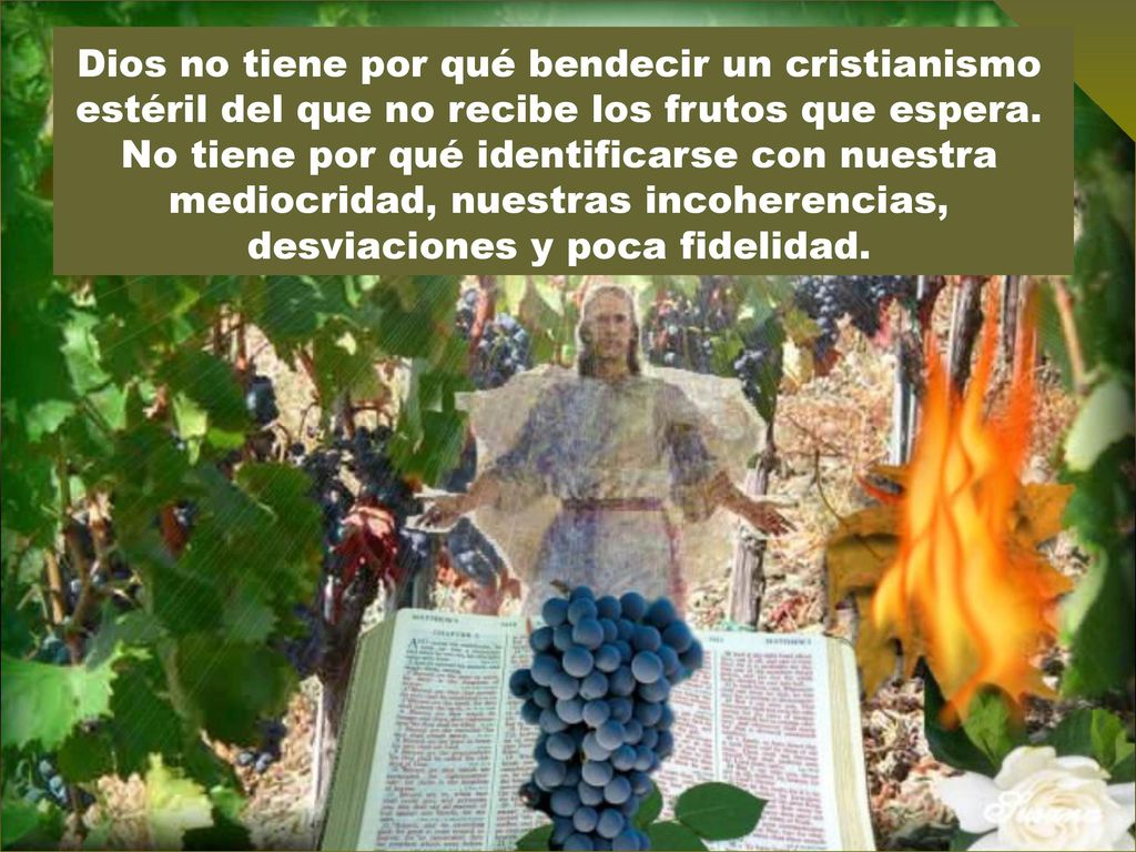 Dios no tiene por qué bendecir un cristianismo estéril del que no recibe los frutos que espera.