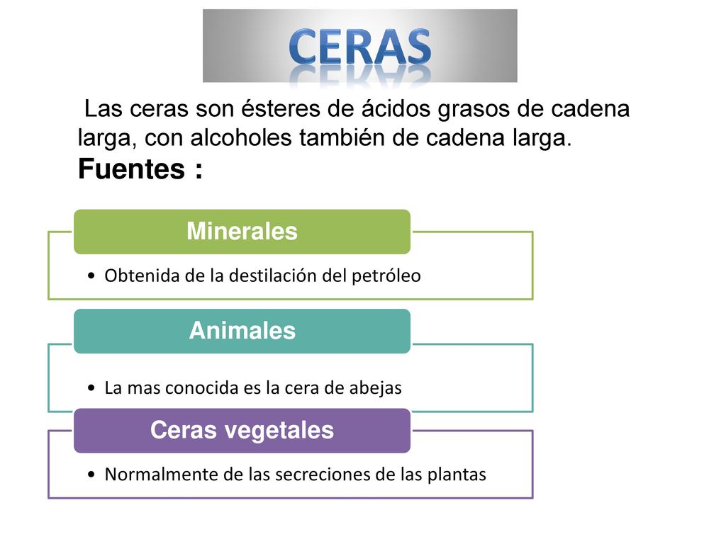 Ceras Las ceras son ésteres de ácidos grasos de cadena larga, con alcoholes también de cadena larga. Fuentes :