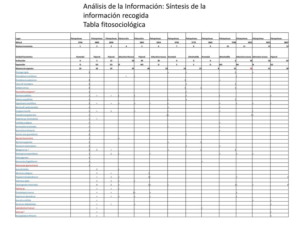 Análisis de la Información: Síntesis de la información recogida