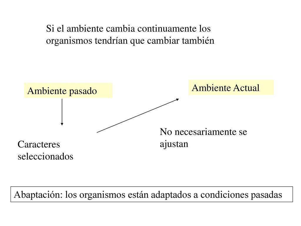 Si el ambiente cambia continuamente los organismos tendrían que cambiar también