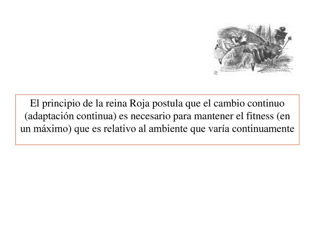 El principio de la reina Roja postula que el cambio continuo (adaptación continua) es necesario para mantener el fitness (en un máximo) que es relativo al ambiente que varía continuamente
