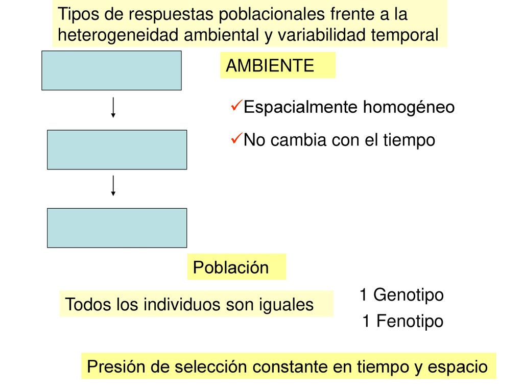 Tipos de respuestas poblacionales frente a la heterogeneidad ambiental y variabilidad temporal
