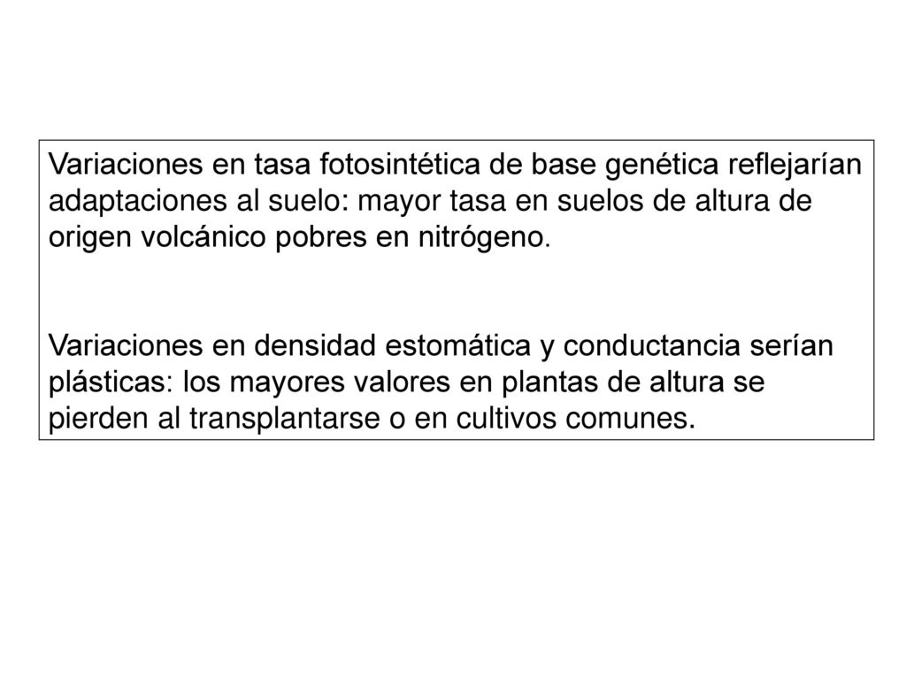 Variaciones en tasa fotosintética de base genética reflejarían adaptaciones al suelo: mayor tasa en suelos de altura de origen volcánico pobres en nitrógeno.