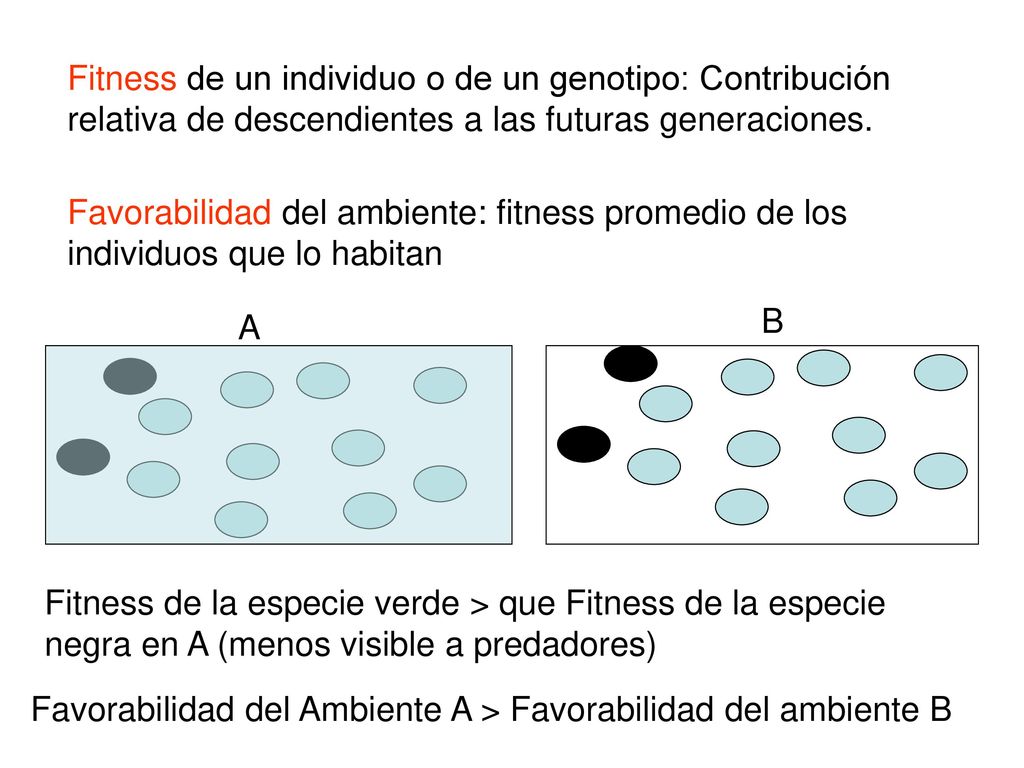 Fitness de un individuo o de un genotipo: Contribución relativa de descendientes a las futuras generaciones.