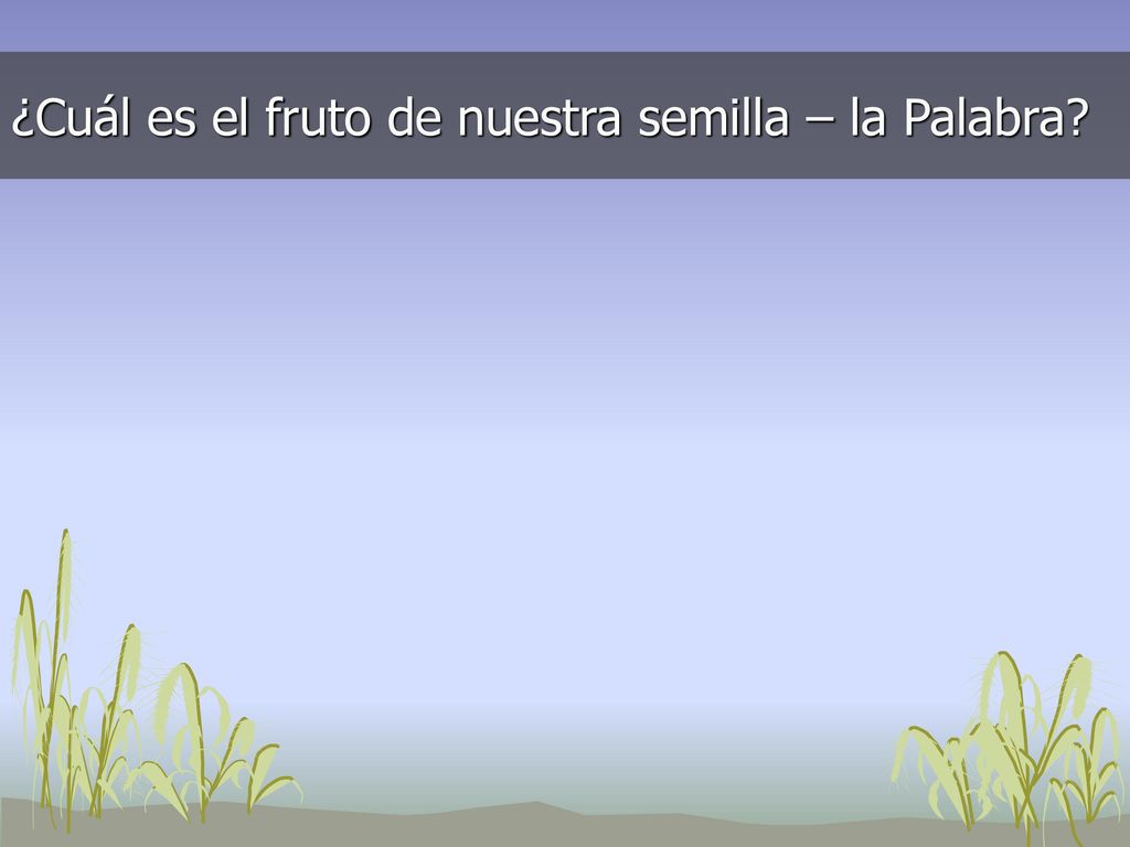 ¿Cuál es el fruto de nuestra semilla – la Palabra