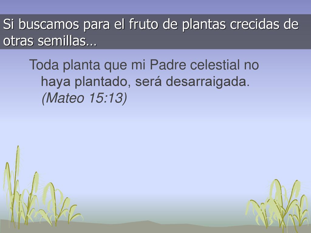 Si buscamos para el fruto de plantas crecidas de otras semillas…