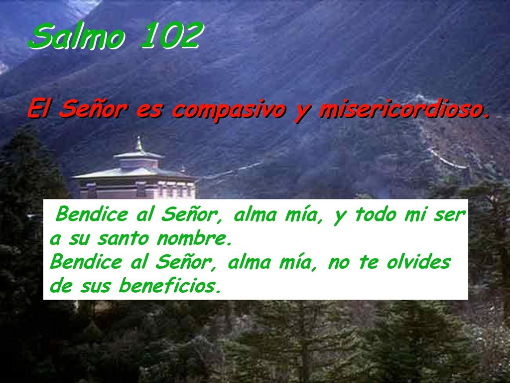 Salmo 102 El Señor es compasivo y misericordioso.