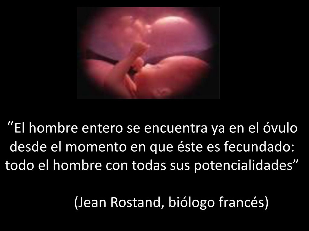 El hombre entero se encuentra ya en el óvulo desde el momento en que éste es fecundado: todo el hombre con todas sus potencialidades (Jean Rostand, biólogo francés)