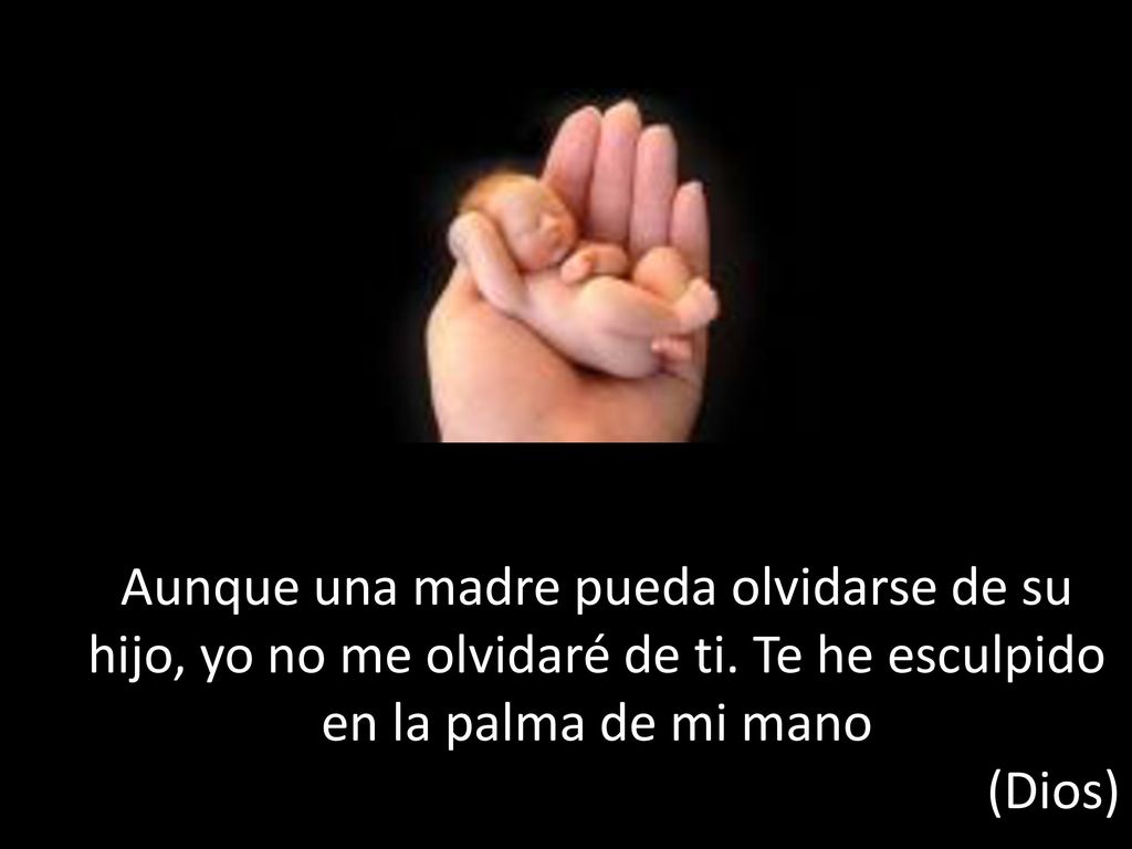 Aunque una madre pueda olvidarse de su hijo, yo no me olvidaré de ti