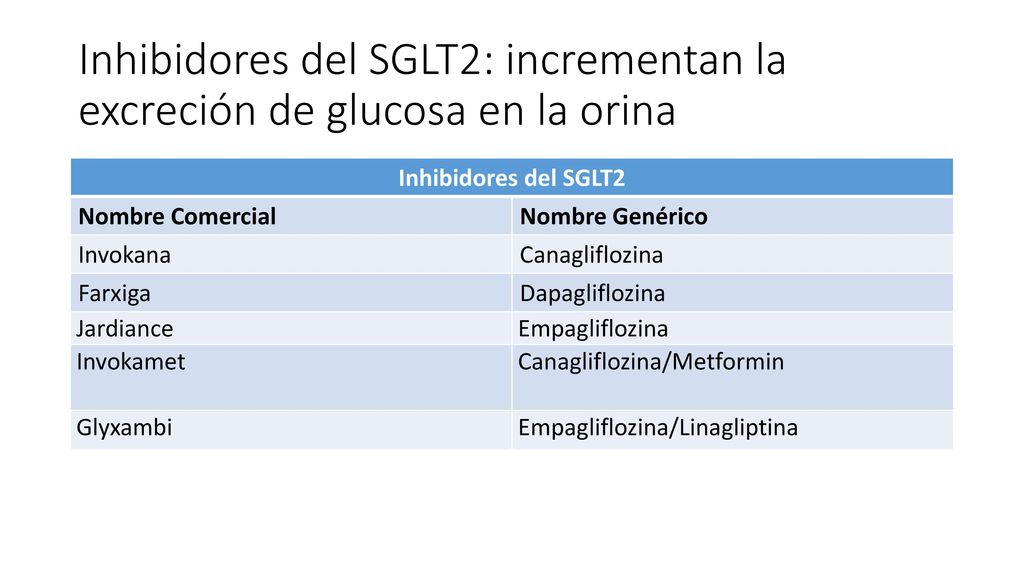 Inhibidores del SGLT2: incrementan la excreción de glucosa en la orina