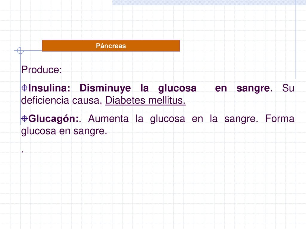 Glucagón:. Aumenta la glucosa en la sangre. Forma glucosa en sangre.