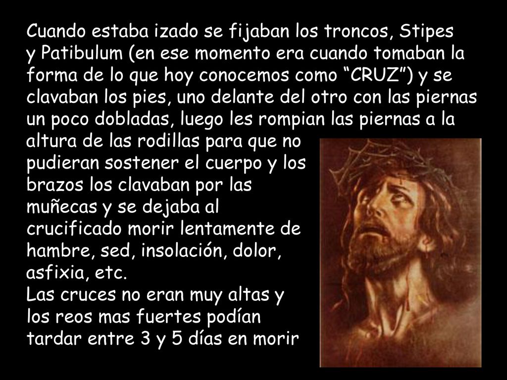 Cuando estaba izado se fijaban los troncos, Stipes
