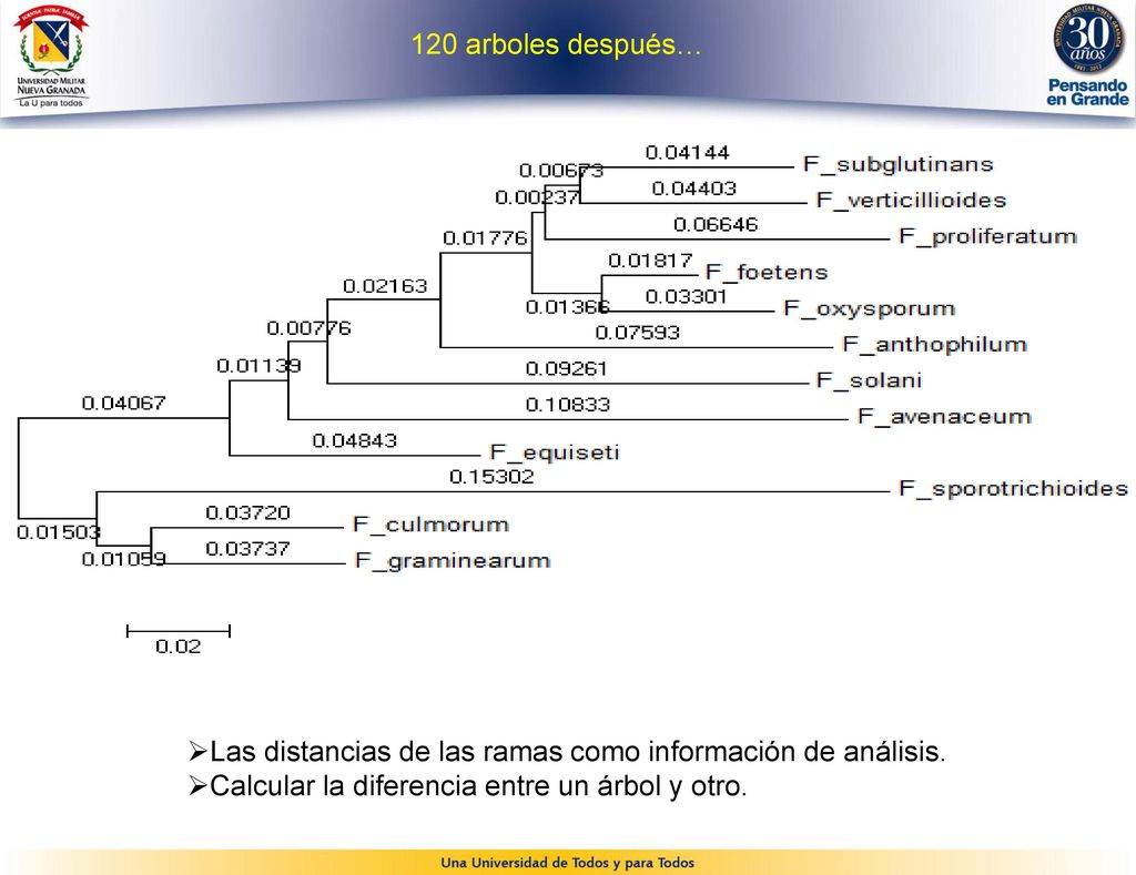 120 arboles después… Las distancias de las ramas como información de análisis.